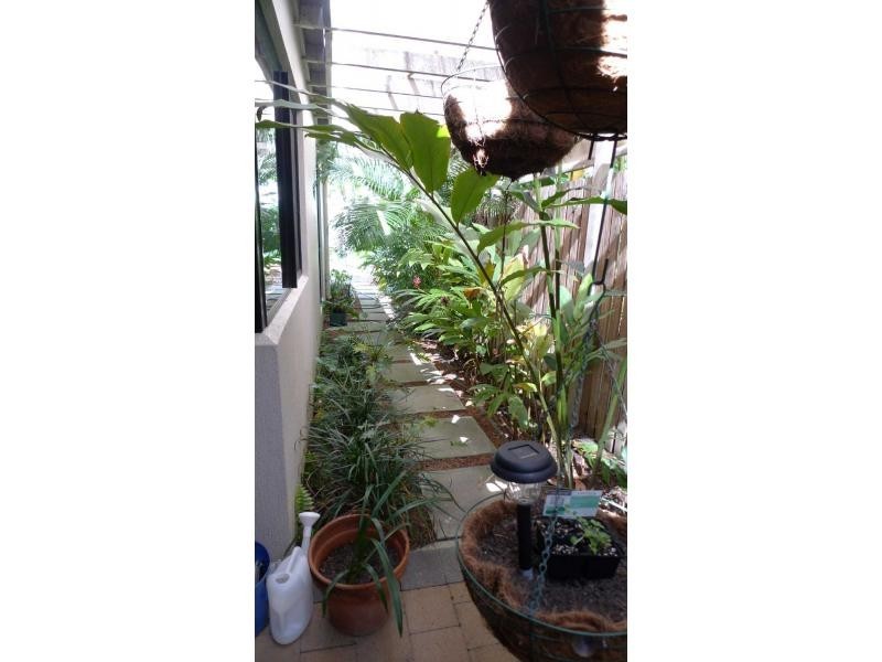 4 Cottonwood Court, Kirwan QLD 4817