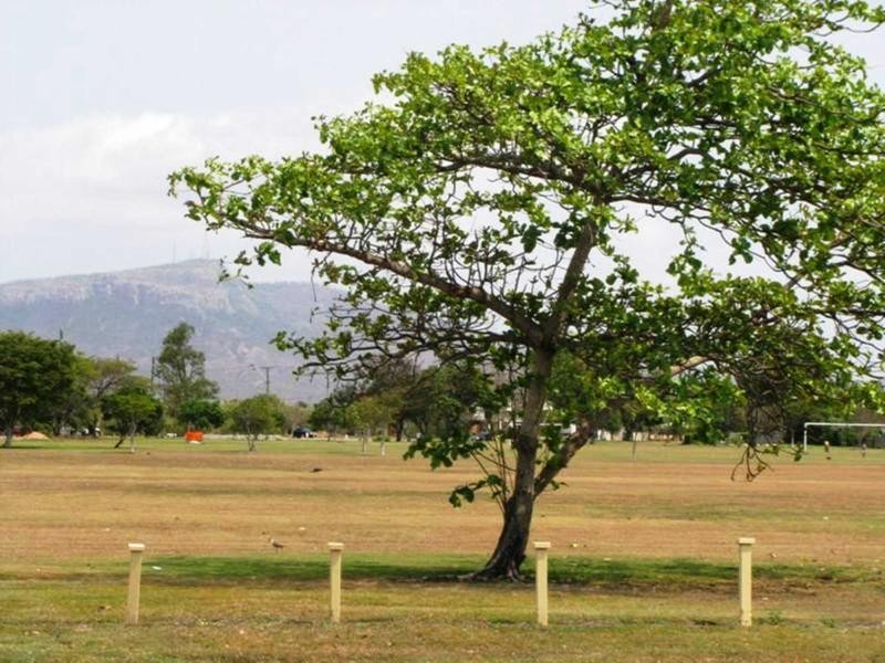 Unit 5/2 Macrossan Street, South Townsville QLD 4810