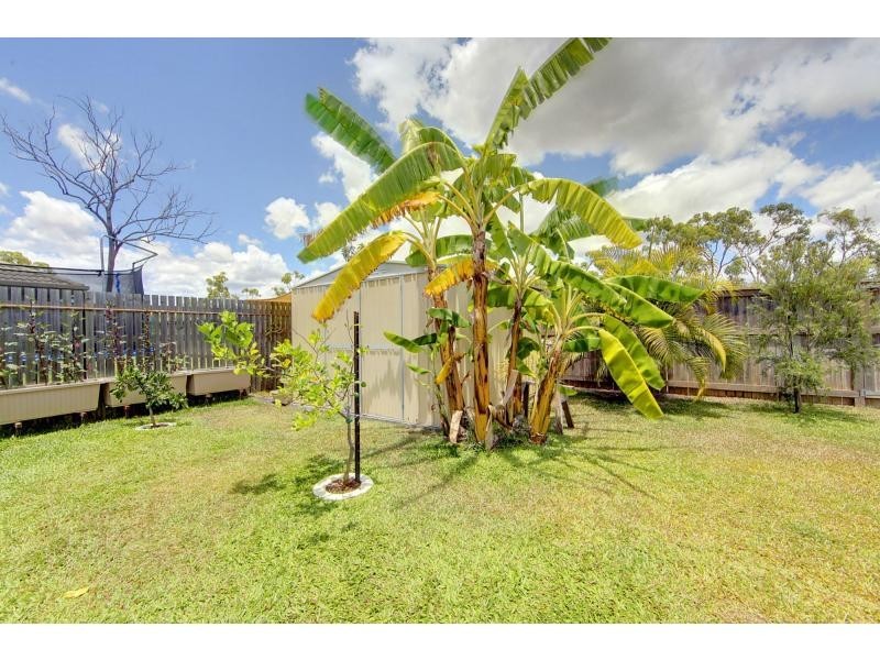 49 Mannikin Way, Bohle Plains QLD 4817