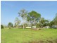 167 MT Low Parkway, Mount Low QLD 4818