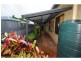 31 Gilmour Crescent, Kirwan QLD 4817