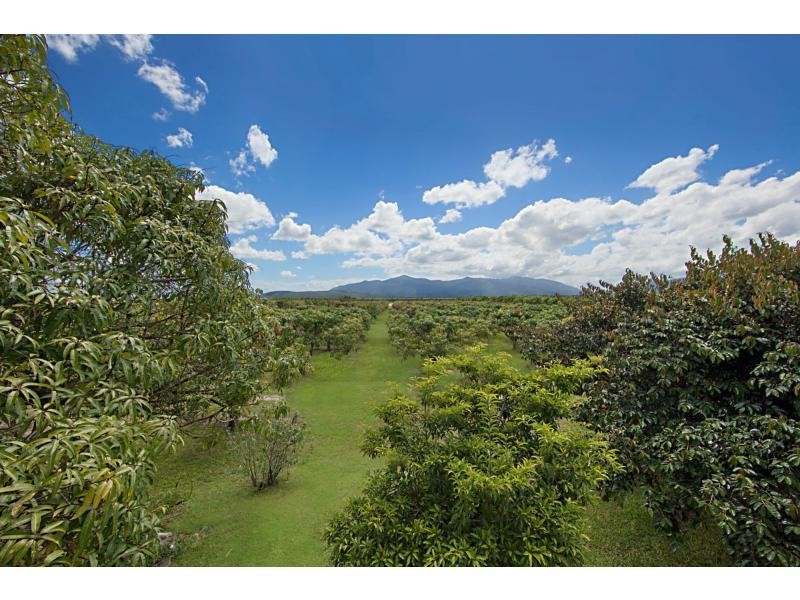 106 Bartlett Road, Horseshoe Lagoon QLD 4809