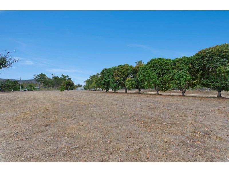 29A Alligator Creek Road, Alligator Creek QLD 4816