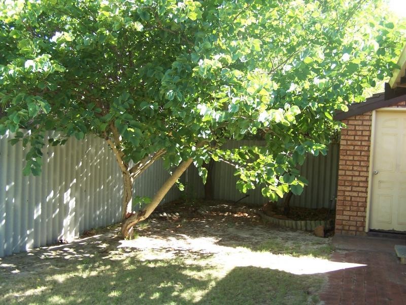A/22A Bridson Street, Bassendean WA 6054