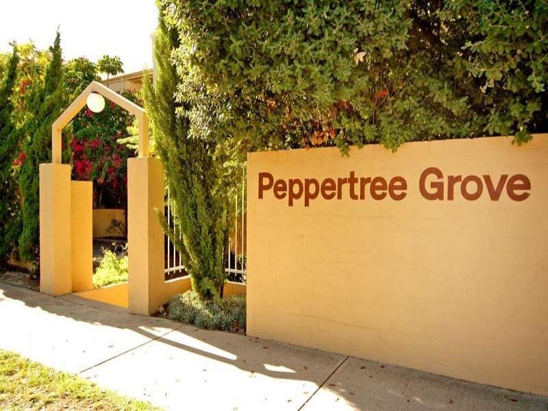 25/34 Smith Street, Highgate WA 6003