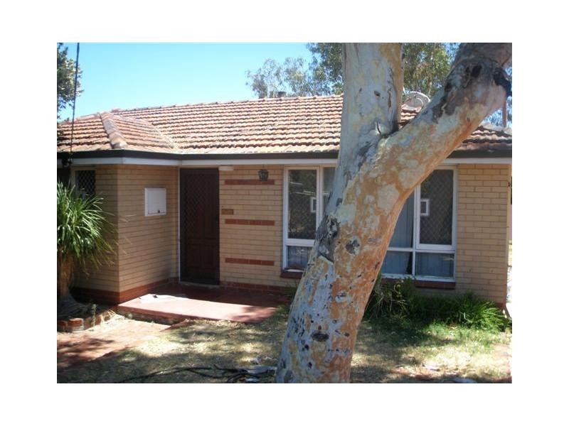 197 Mirrabooka Avenue, Balga WA 6061