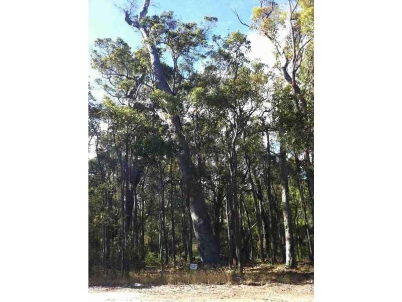 14 Wandoo Place, Margaret River WA 6285