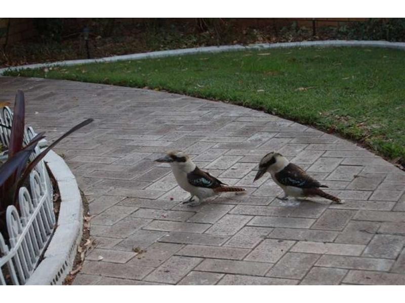 13-18/1 Stallard Place, Bunbury WA 6230