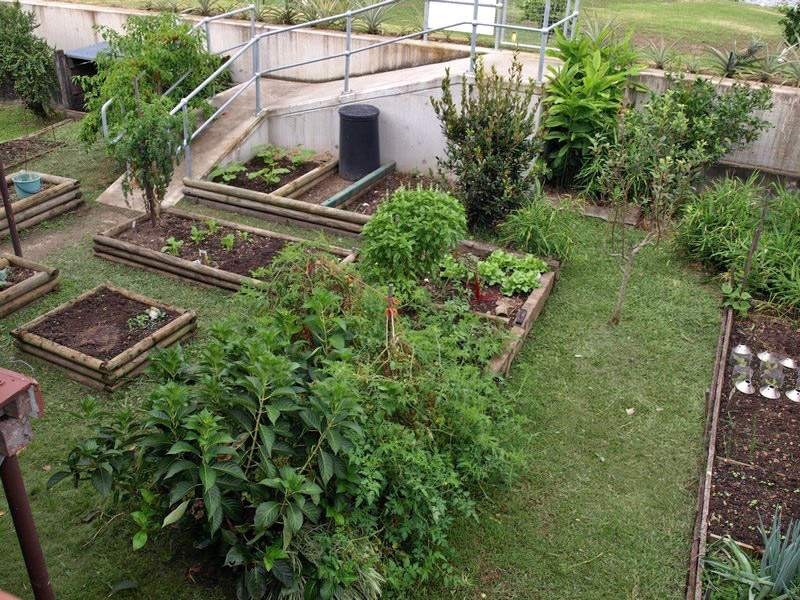 29 Tumbulgum Road, Murwillumbah NSW 2484