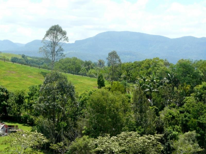 25 Mount Ernest Crescent, Murwillumbah NSW 2484