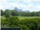 25 Mount Ernest Crescent, Murwillumbah NSW 2484