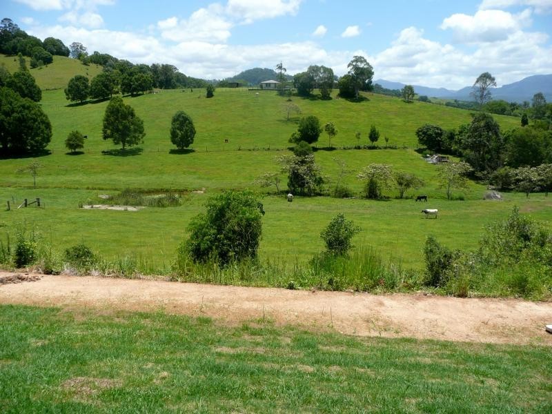 25 Mount Ernest Crescent, Murwillumbah NSW 2484
