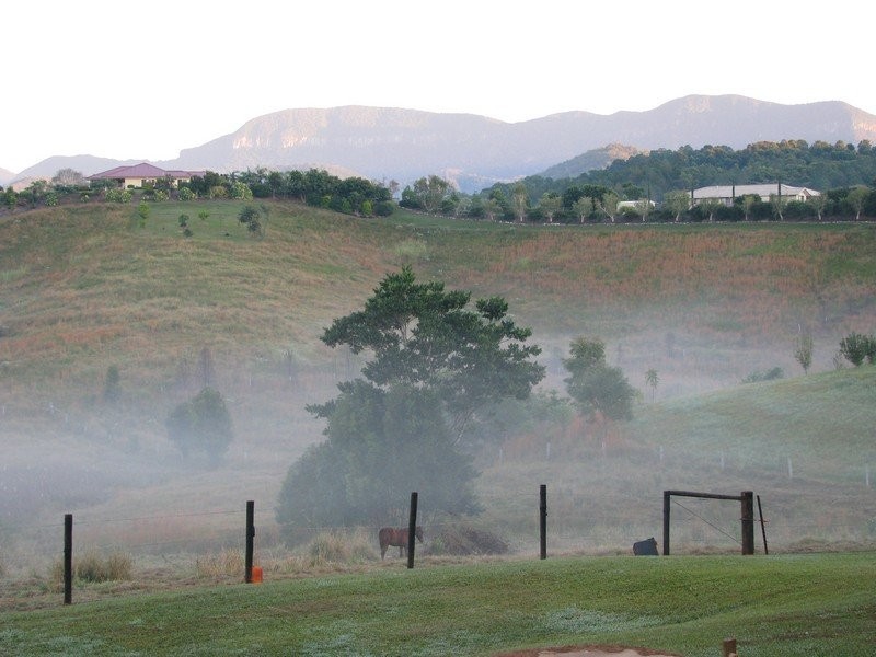 41 Booyong Place, Murwillumbah NSW 2484