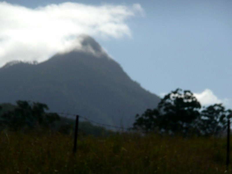 4 Condong Street, Kunghur NSW 2484