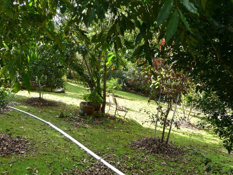 4 Condong Street, Kunghur NSW 2484