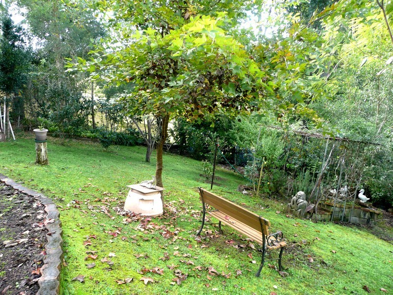 4 Condong Street, Kunghur NSW 2484