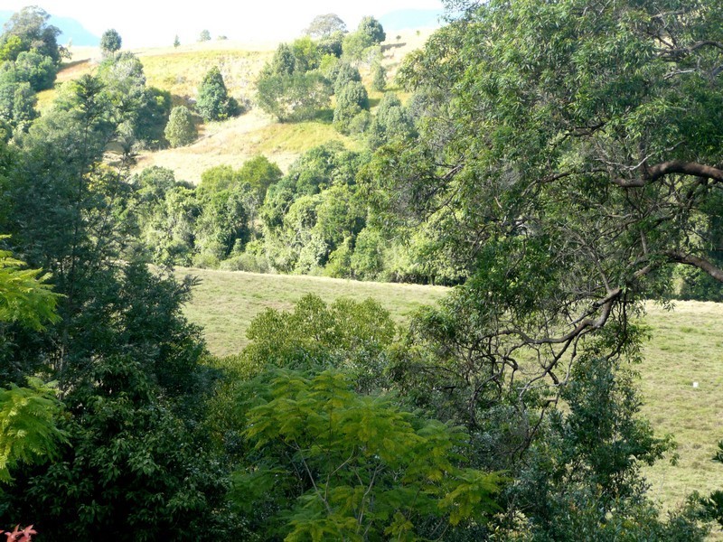 4 Condong Street, Kunghur NSW 2484