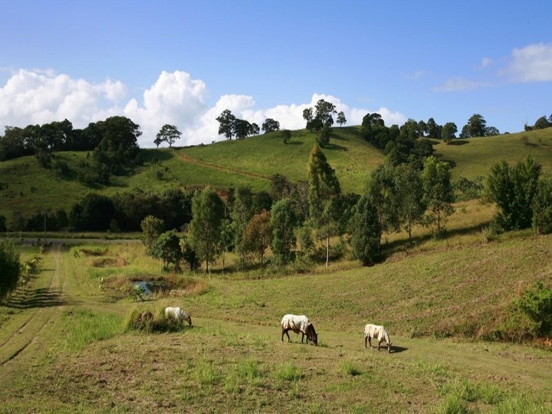 38 Spring Valley Road, Pottsville NSW 2489