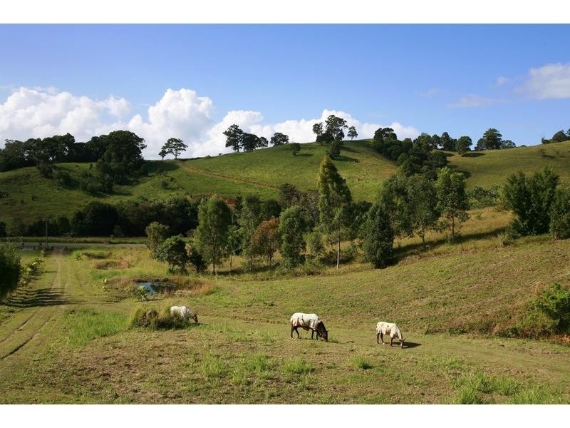 38 Spring Valley Road, Pottsville NSW 2489