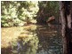 10 Braeside Drive, Uki NSW 2484