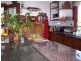 10 Braeside Drive, Uki NSW 2484