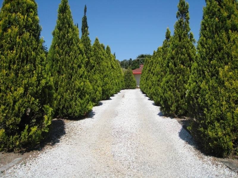 18 Garden Avenue, Murwillumbah NSW 2484