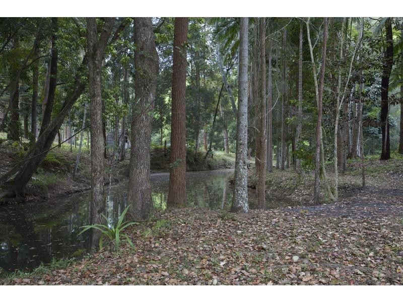 5 Ryans Road, Uki NSW 2484