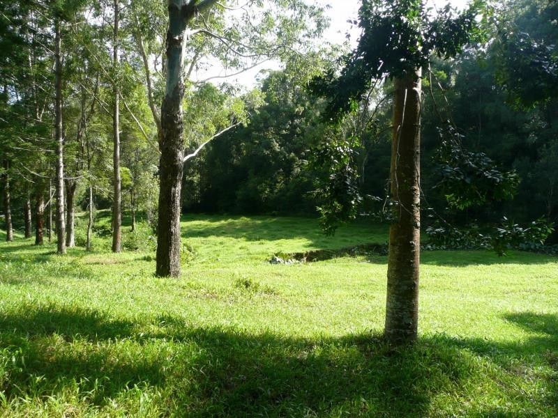 5 Ryans Road, Uki NSW 2484