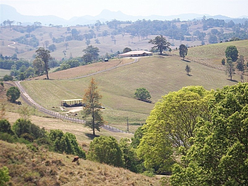Tyalgum NSW 2484