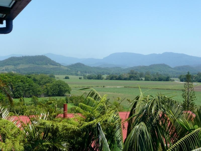 55A Ewing Street, Murwillumbah NSW 2484