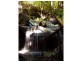 197 Tree Fern Road, Mount Warning NSW 2484