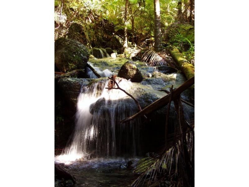 197 Tree Fern Road, Mount Warning NSW 2484