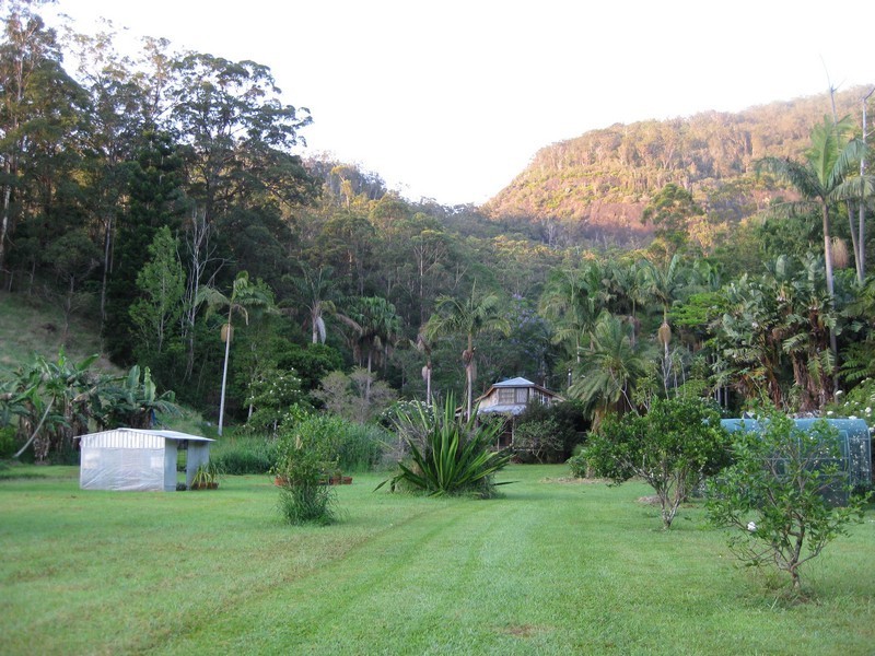 197 Tree Fern Road, Mount Warning NSW 2484