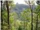 197 Tree Fern Road, Mount Warning NSW 2484