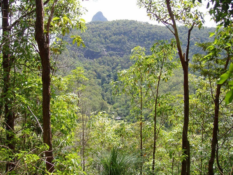 197 Tree Fern Road, Mount Warning NSW 2484