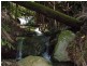 197 Tree Fern Road, Mount Warning NSW 2484