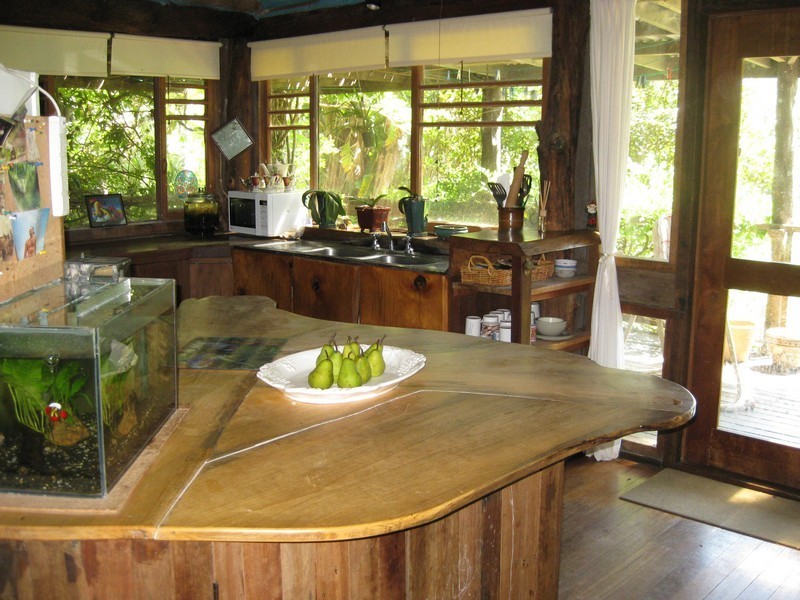 197 Tree Fern Road, Mount Warning NSW 2484