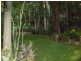 197 Tree Fern Road, Mount Warning NSW 2484