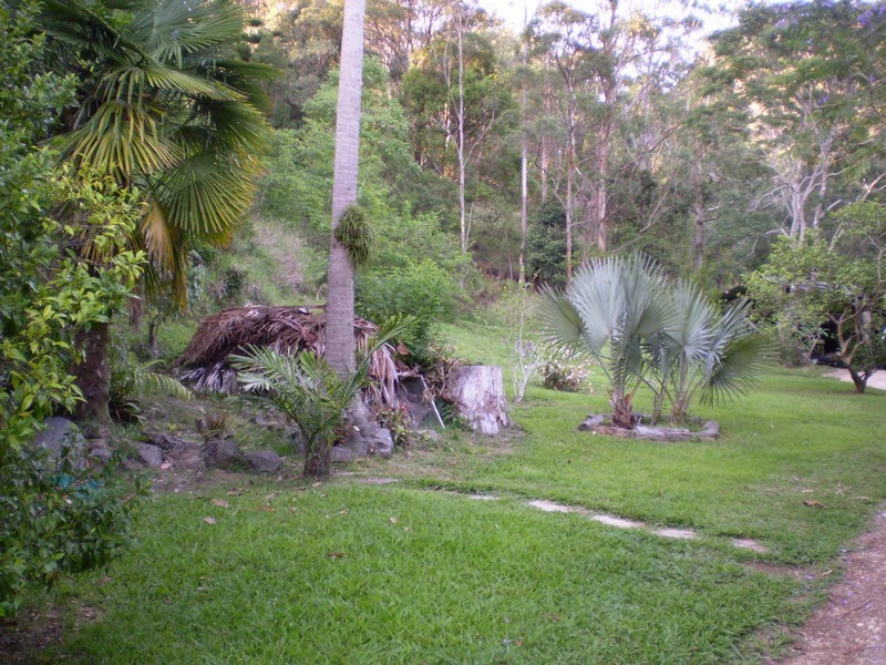 197 Tree Fern Road, Mount Warning NSW 2484