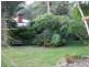 197 Tree Fern Road, Mount Warning NSW 2484
