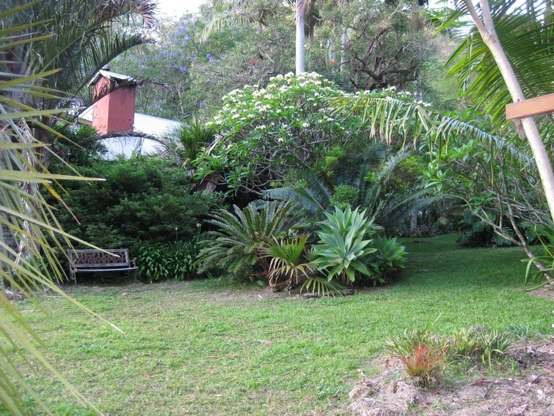 197 Tree Fern Road, Mount Warning NSW 2484