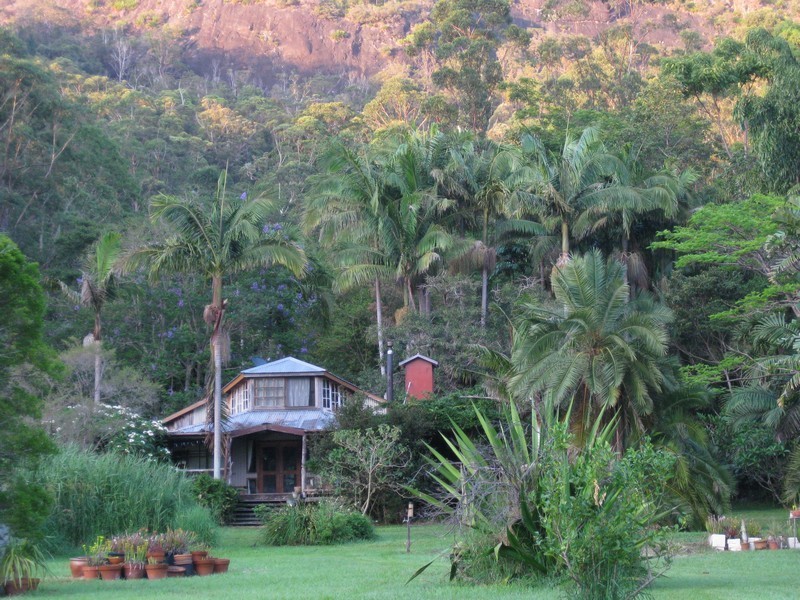 197 Tree Fern Road, Mount Warning NSW 2484