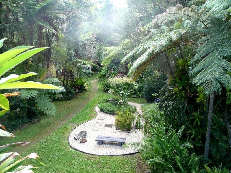 240 Stokers Road, Stokers Siding NSW 2484