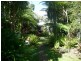 240 Stokers Road, Stokers Siding NSW 2484