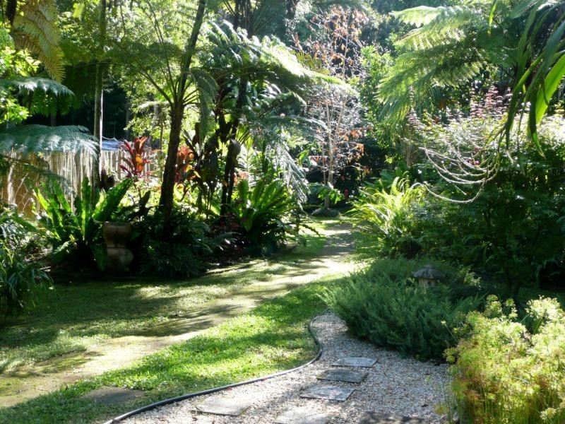 240 Stokers Road, Stokers Siding NSW 2484