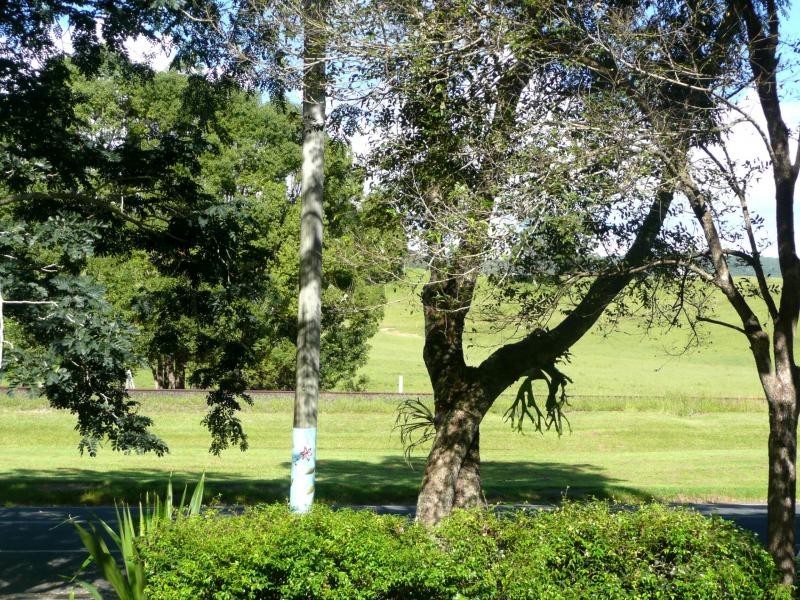 240 Stokers Road, Stokers Siding NSW 2484