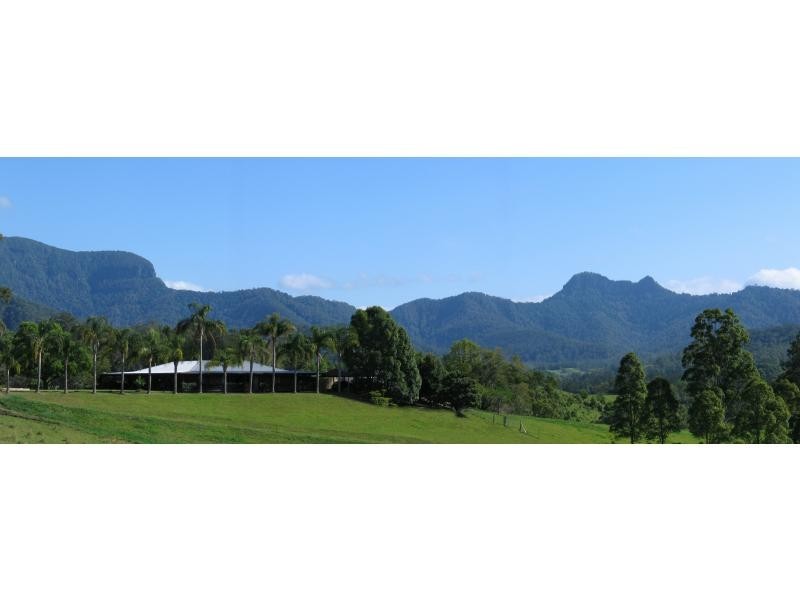 167 Upper Crystal Creek Road, UPPER CRYSTAL CREEK, Crystal Creek NSW 2484