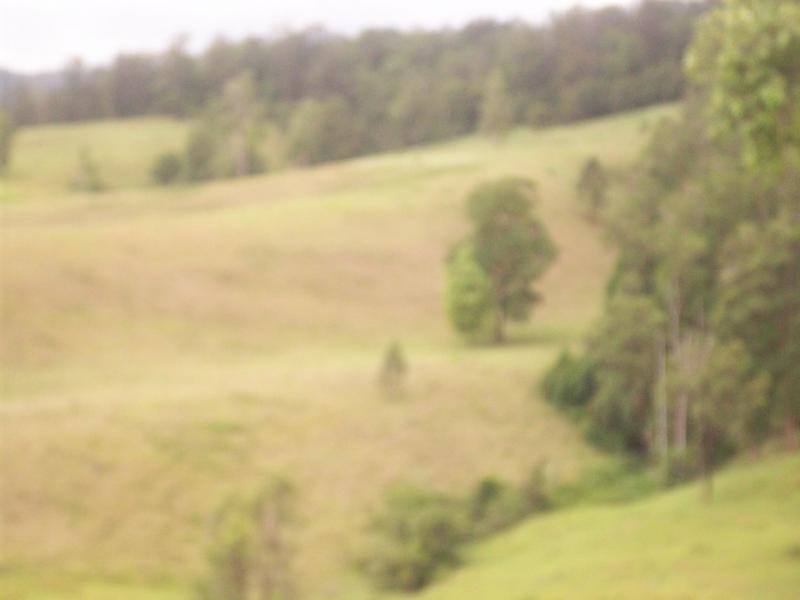 Tyalgum NSW 2484