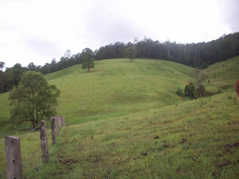Tyalgum NSW 2484