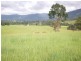 Tyalgum NSW 2484